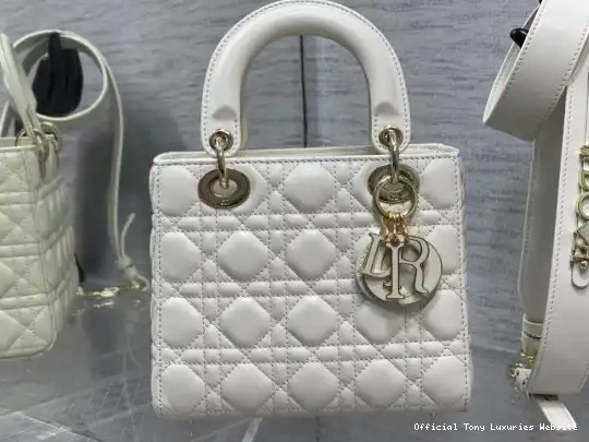 Tony Luxuries LADY DI0R-20CM 0620